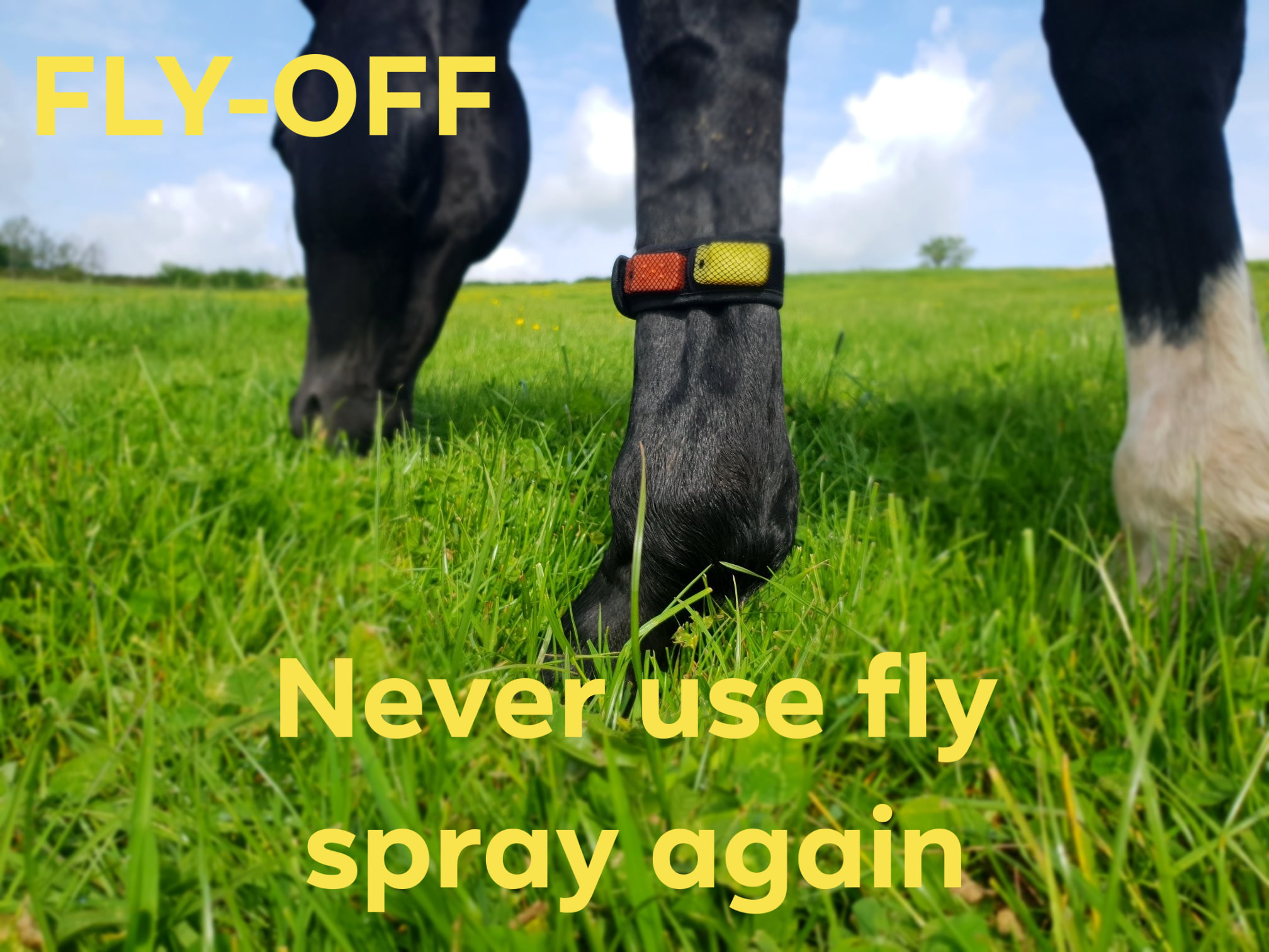 Fly Repellent For Horses